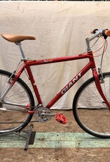 21.5" Giant X1500 (3404) B4L