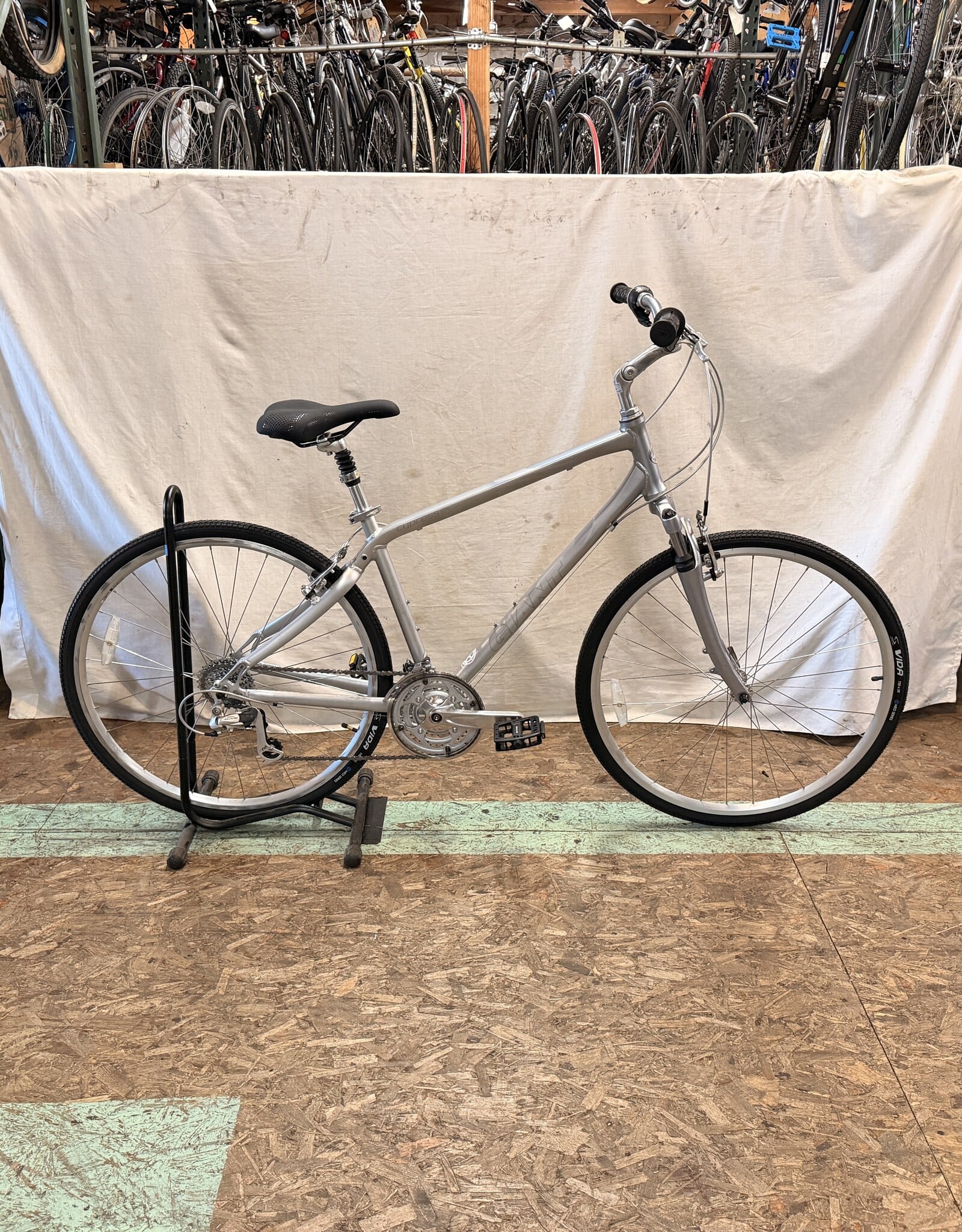 19" Giant Cypress DX (6574) C3U