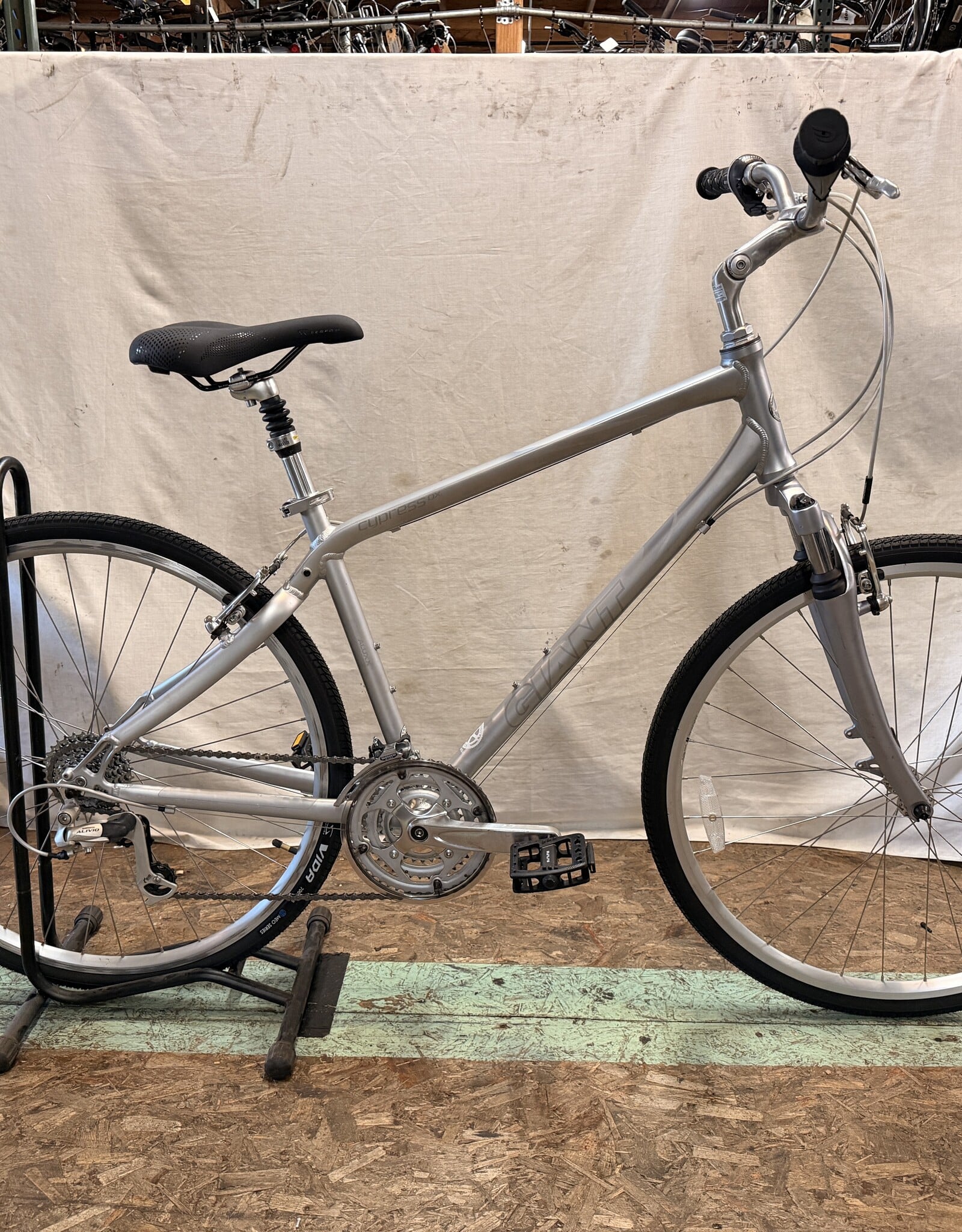 19" Giant Cypress DX (6574) C3U