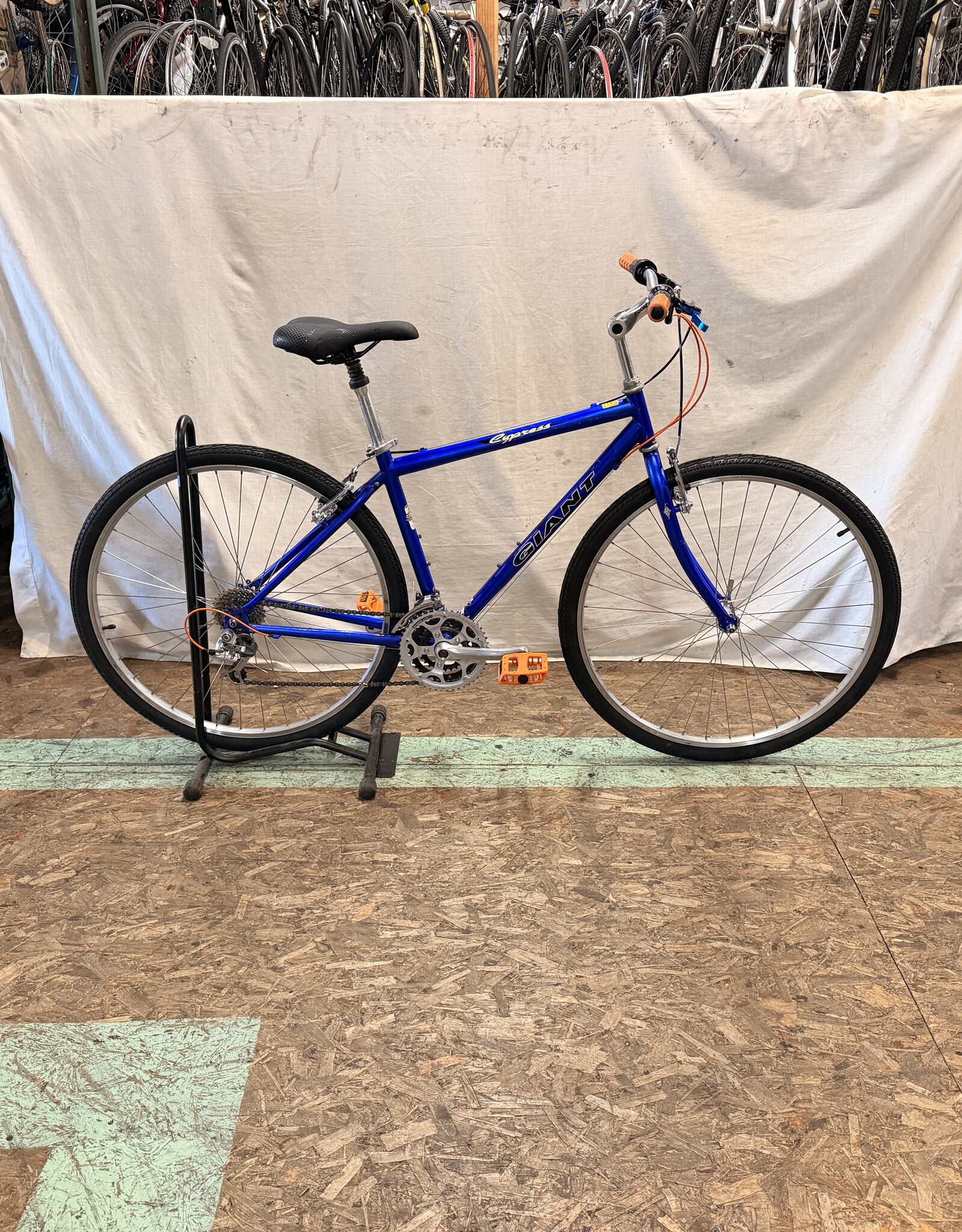 17.5" Giant Cypress (6143) C3U