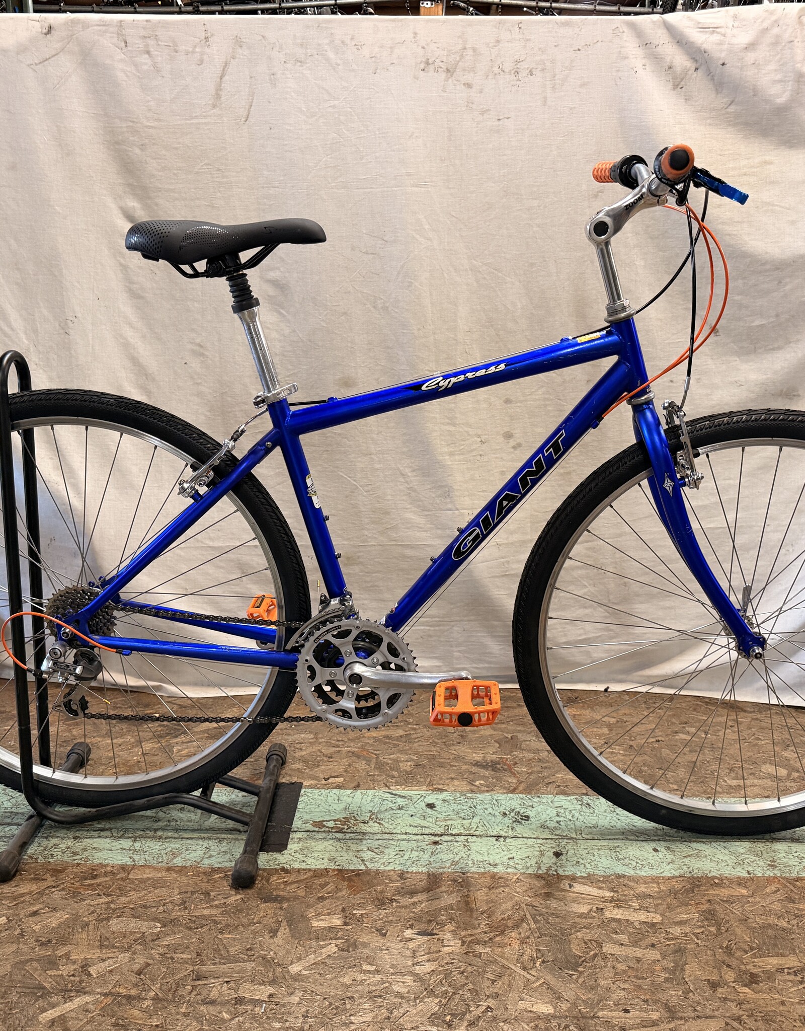 17.5" Giant Cypress (6143) C3U