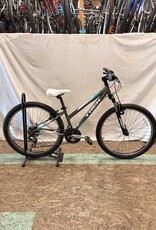 13" Trek 820 (239J) C4U