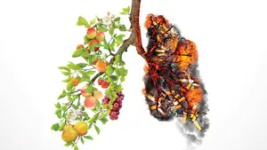 Is There a Vape Flavour Ban in Ontario? What Adults Need to Know 