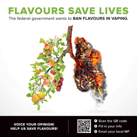 Is There a Vape Flavour Ban in Ontario? What Adults Need to Know 