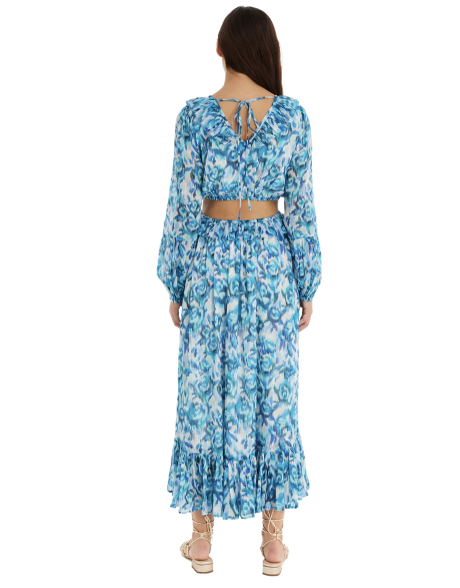 Allison Everly Maxi Dress