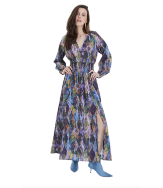 Allison Leo Maxi Dress