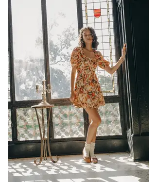 Love The Label Lainy Dress