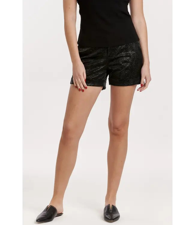 Dear John North Hampton High Rise Shorts