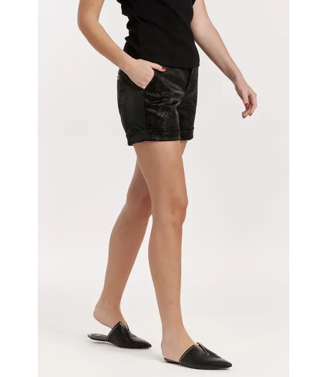 Dear John North Hampton High Rise Shorts