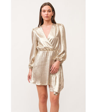 Dear John Chiara V-Neck Long Sleeve Dress