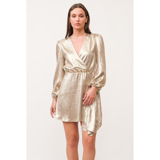 Dear John Chiara V-Neck Long Sleeve Dress