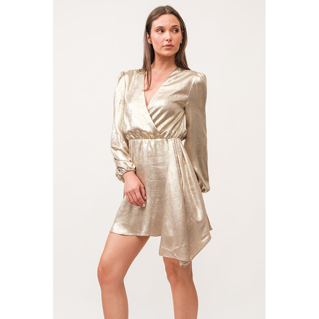 Dear John Chiara V-Neck Long Sleeve Dress