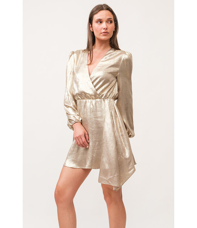 Dear John Chiara V-Neck Long Sleeve Dress