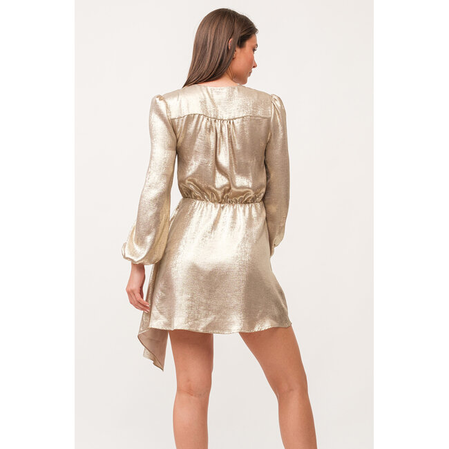 Dear John Chiara V-Neck Long Sleeve Dress