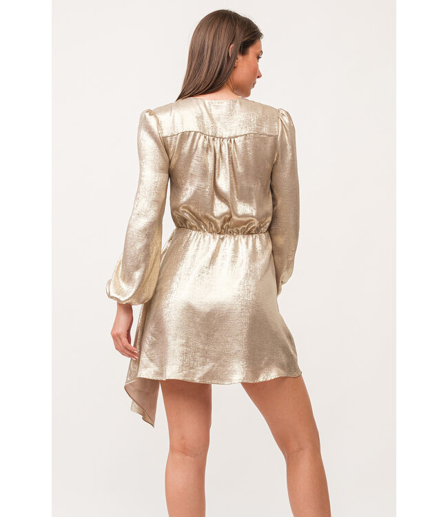 Dear John Chiara V-Neck Long Sleeve Dress