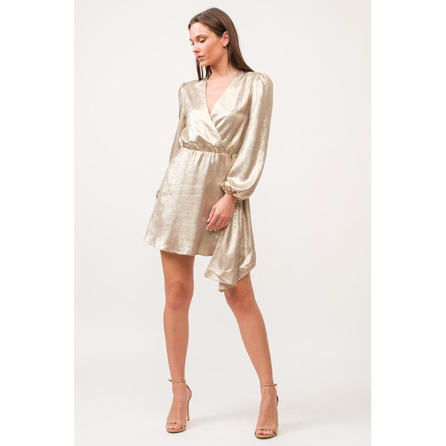 Dear John Chiara V-Neck Long Sleeve Dress