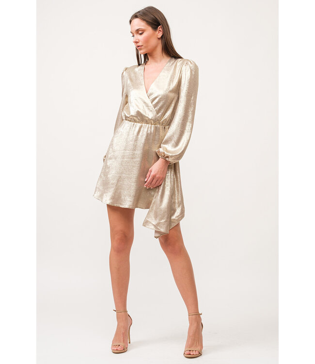 Dear John Chiara V-Neck Long Sleeve Dress