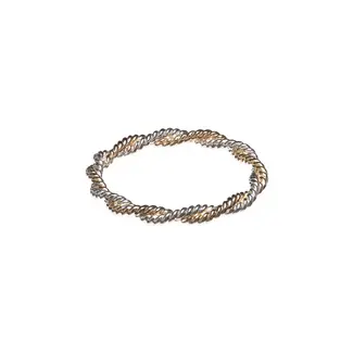 Double Twist Ring