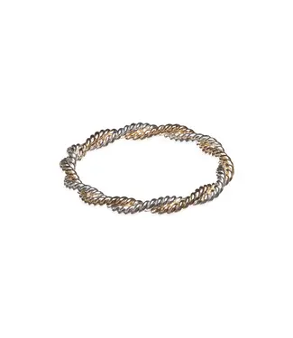 Double Twist Ring