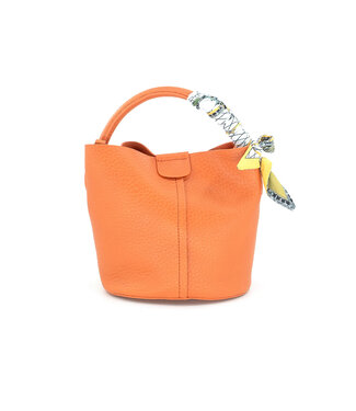 Mini Tote with Scarf Handle