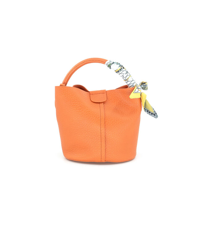 Mini Tote with Scarf Handle