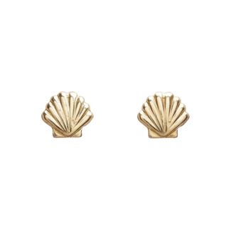 Seashell Studs