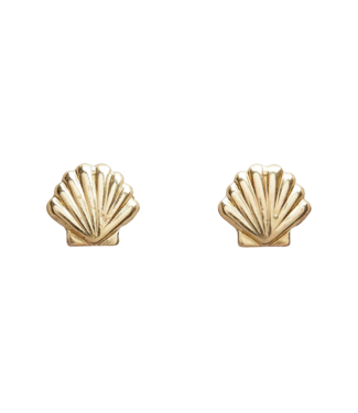 Seashell Studs