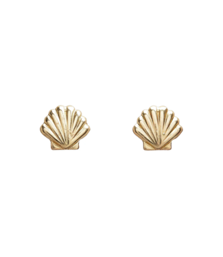 Seashell Studs