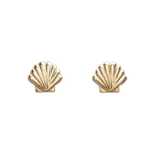 Seashell Studs
