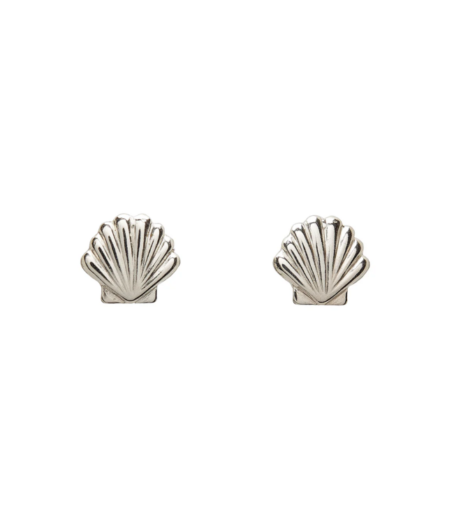 Seashell Studs
