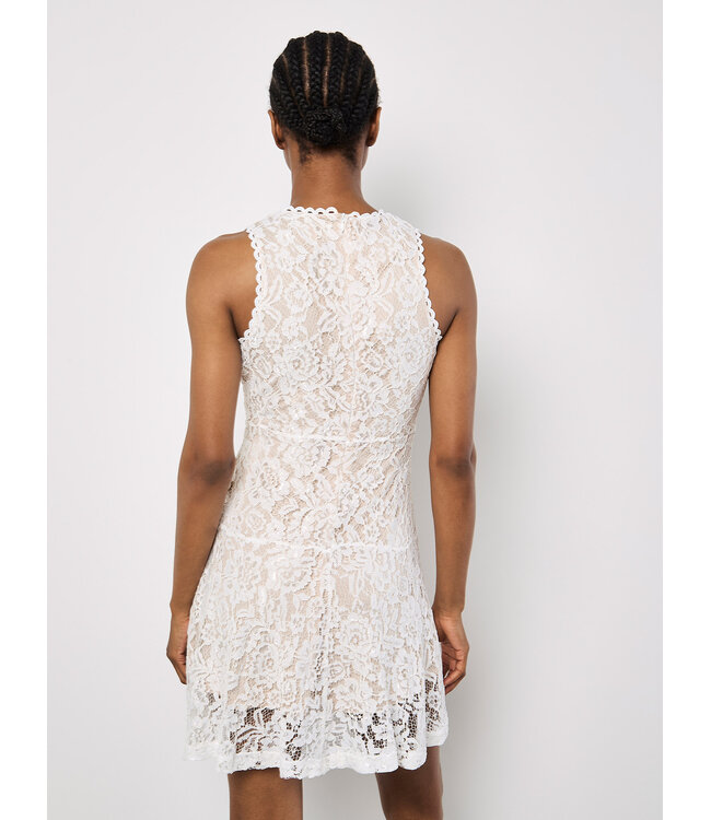 High Neck Lace Skater Dress
