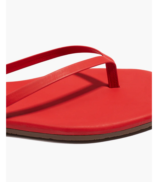 Tkees Square Toe Lily