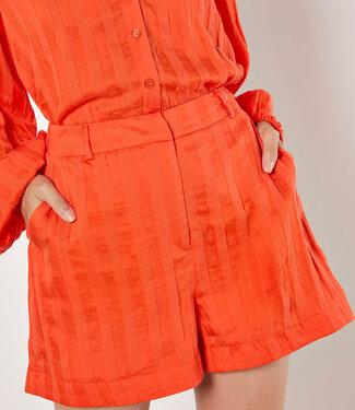 Self Striped Lined Easy Shorts
