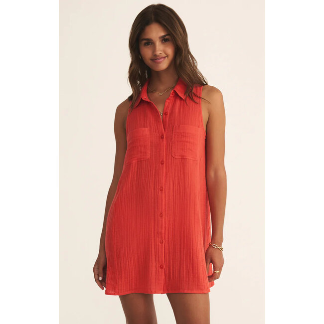 Z Supply New Lights Mini Dress