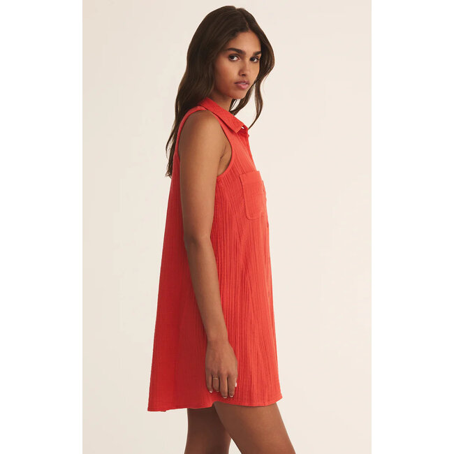 Z Supply New Lights Mini Dress