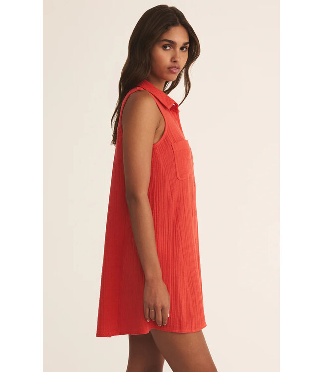 Z Supply New Lights Mini Dress