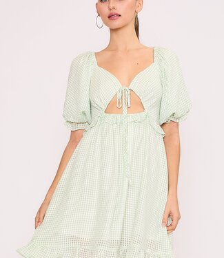 Garden Party Dress
