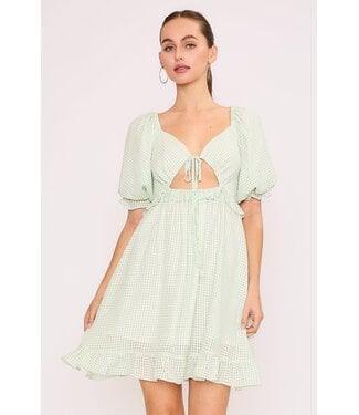 Garden Party Dress