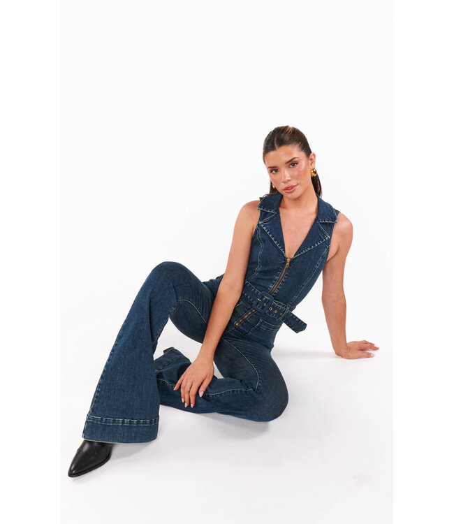 Show Me Your Mumu Jacksonville Jumpsuit