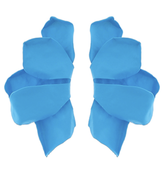 Coastal Breeze Earrings