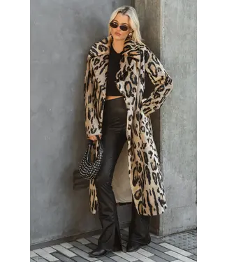 Show Me Your Mumu Miss Cindy Overcoat