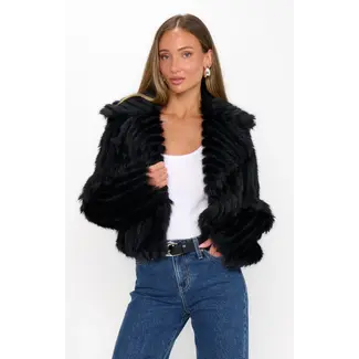 Show Me Your Mumu Salt Lake City Cropped Jacket