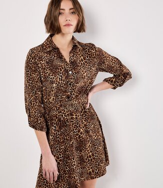 Welcome to the Jungle Belt Dress