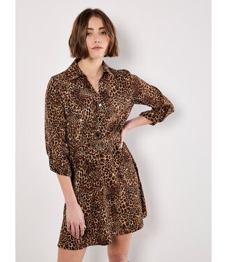Welcome to the Jungle Belt Dress