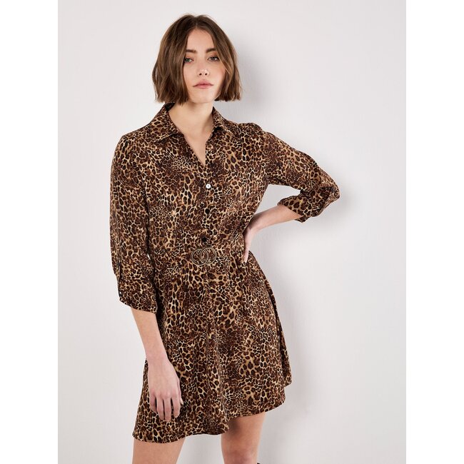 Welcome to the Jungle Belt Dress