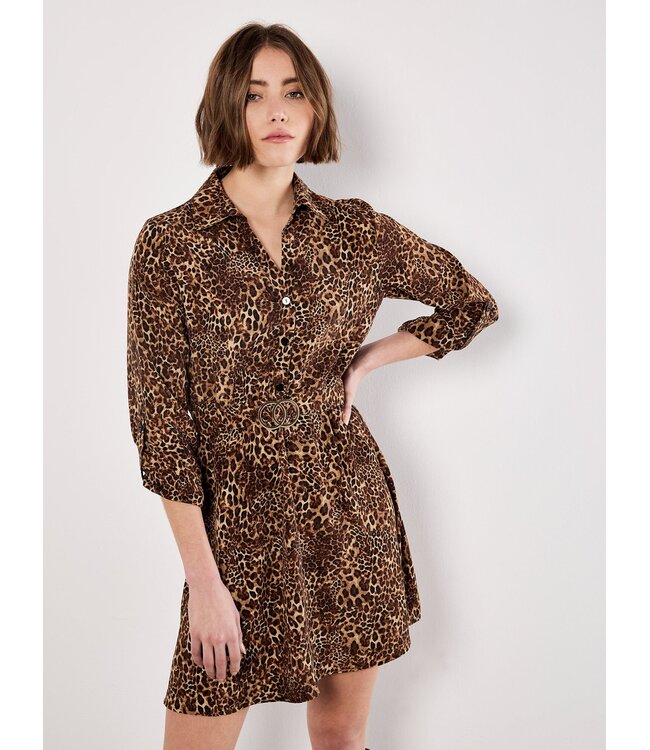 Welcome to the Jungle Belt Dress