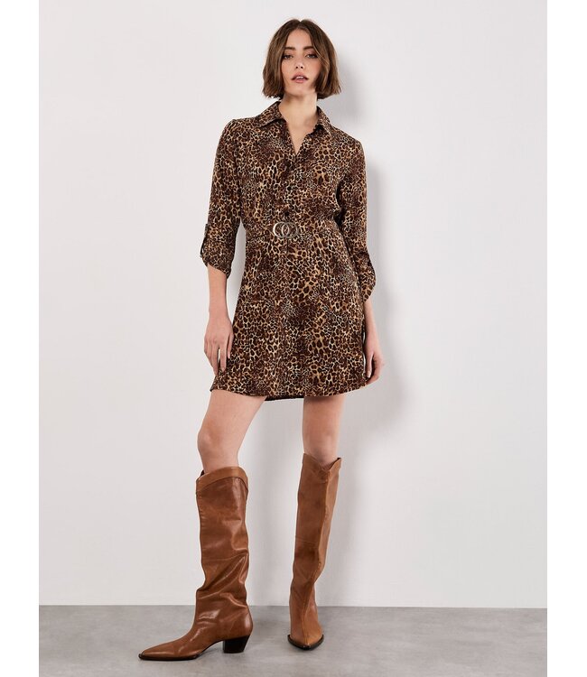 Welcome to the Jungle Belt Dress