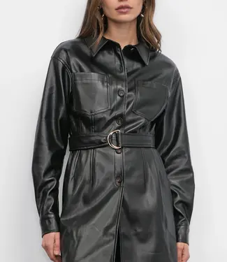 Greylin Augustine Belted Dress