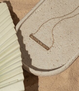 Coordinates Plate Necklace