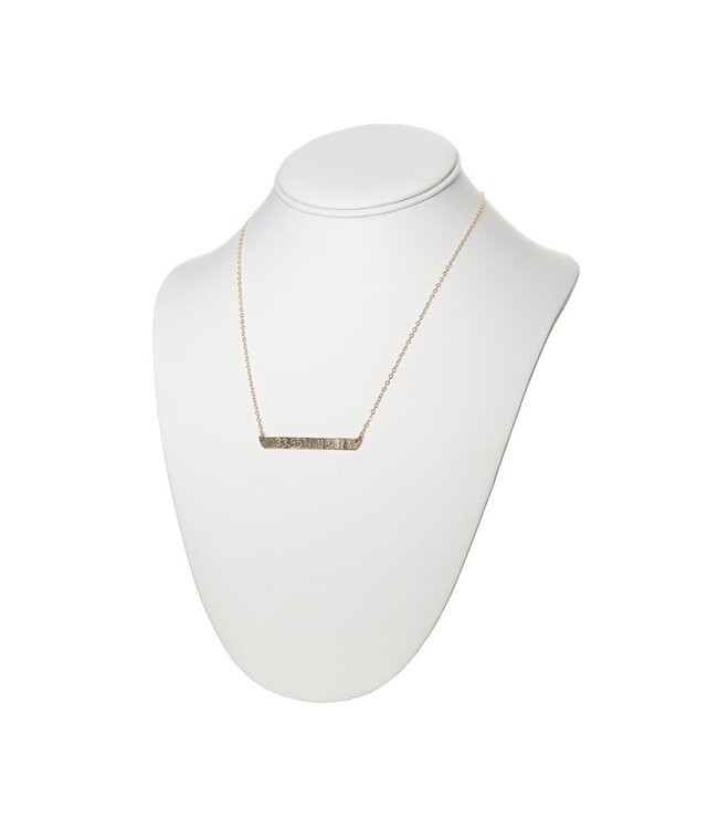 Coordinates Plate Necklace